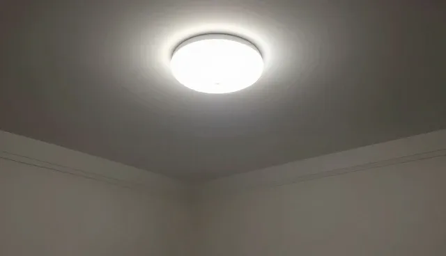 儿童营养套餐如何提升用户适应性?